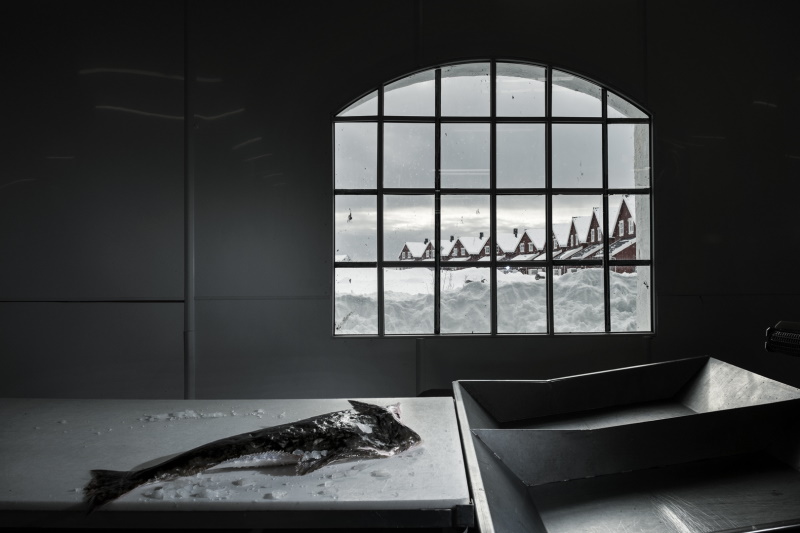 La luce delle isole Lofoten_Skrei di Valentina Tamborra