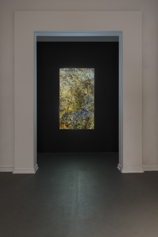 Quayola, Pointillisme: Provence, 2023, video 4k, 11’, courtesy Fondazione La Quadriennale di  Roma, foto Carlo Romano