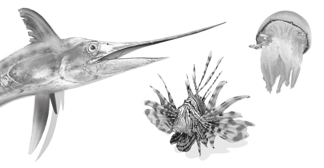 Ventimila specie (o quasi) sotto il mare Ventimila specie (o quasi) sotto il mare