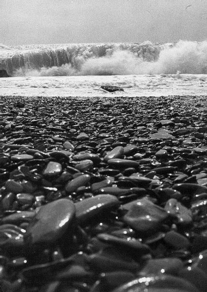 Ugo  Mulas, Le Cinque terre, Liguria, per la poesia "Meriggiar pallido e assorto" di Eugenio Montale, 1964 
