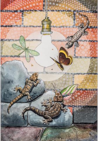 “Gechi falene e altri insetti intorno a una lampadina notturna” Dal libro “Natura in città” Rizzoli 1984 Acquerello e china su carta “Gechi falene e altri insetti intorno a una lampadina notturna” Dal libro “Natura in città” Rizzoli 1984 Acquerello e china su carta