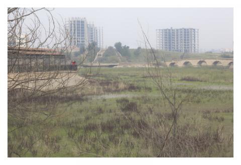 NEEEV. Non è esotico, è vitale. Fotografie di Begoña Zubero