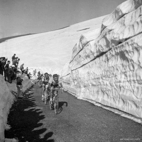 1960. Jacques Anquetil conduce in maglia rosa. Dietro Gastone Nencini e Diego Ronchini. Monte Terminillo, quinta tappa del Giro dʼItalia, Pescara-Rieti
