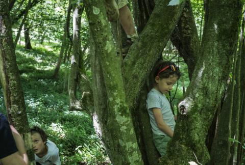 Biella - Un laboratorio esperienziale estivo realizzato nel Biellese nell’ambito del progetto Community School