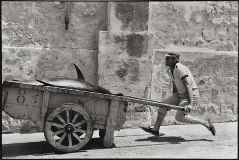 Sicilia, 1975 © Leonard Freed - Magnum (Brigitte Freed)