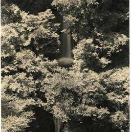 Yamamoto #1526, 210x142 cm
