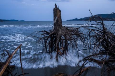 Terzo Premio General News REPORTAGE - Daniel Berehulak, Australia, Getty Images - 07 marzo 2012, Rikuzentakata, Giappone