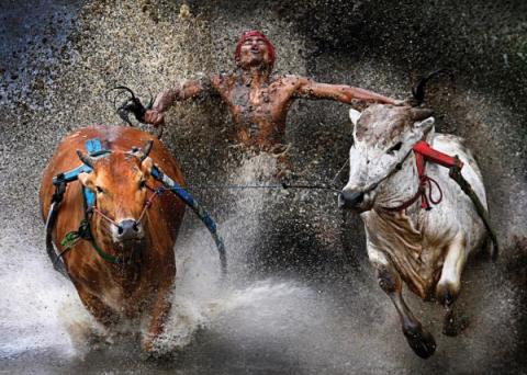 Primo Premio Sport – Sport in azione FOTO SINGOLE - Wei Seng Chen, Malesia - 12 febbraio 2012, Batu Sangkar, West Sumatra, Indonesia