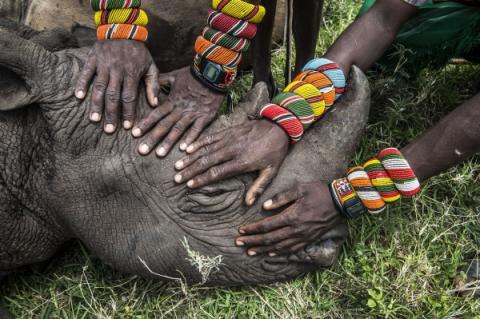 Ami Vitale, Stati Uniti, National Geographic - Lewa Downs, Kenya del Nord